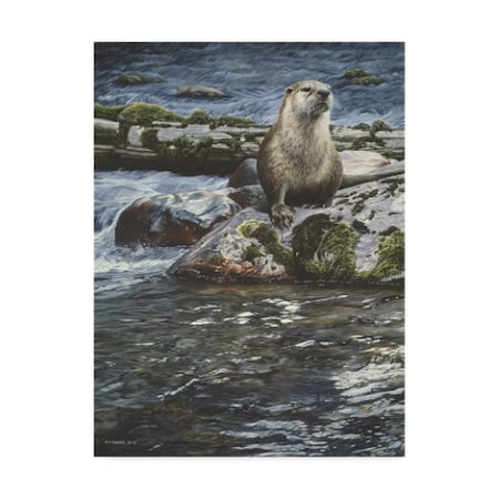 Ron Parker 'Riverside Pause River Otter' Canvas Art,35x47